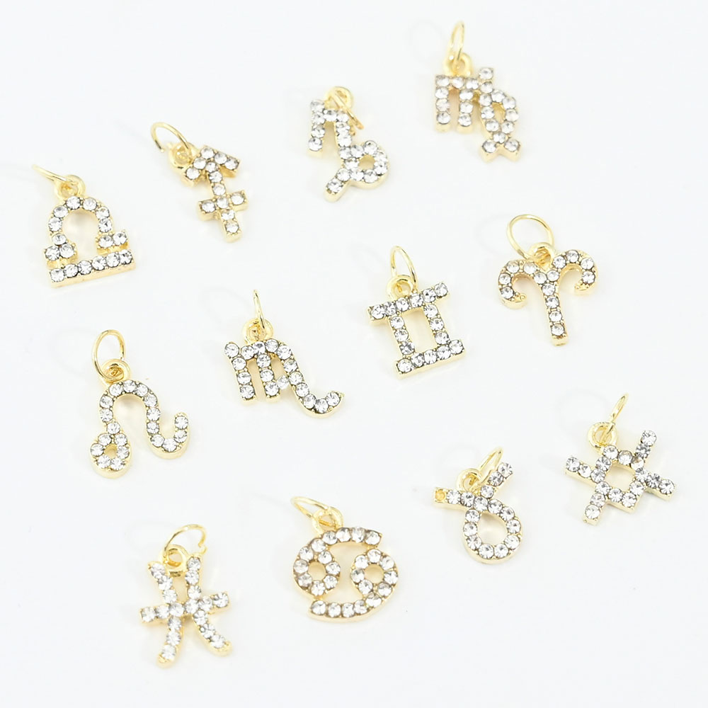 10Pcs 12 Konstellation Baumeln – Trending Tech Accessories Bewertung und Preis